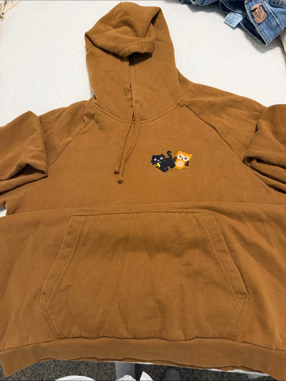 Men's Brown Hoodie with Cat and Owl Embroidery by District